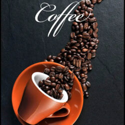 Coffee - Kaffekopp med kaffebönor - Poster