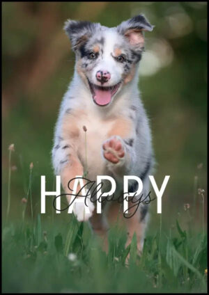Always Happy - Inspirerande poster med en glad hund