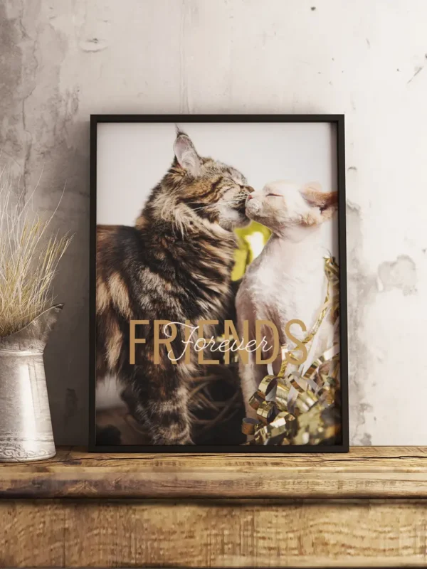 Friends Forever, Maine Coon och Devon Rex - Poster - Ramexempel
