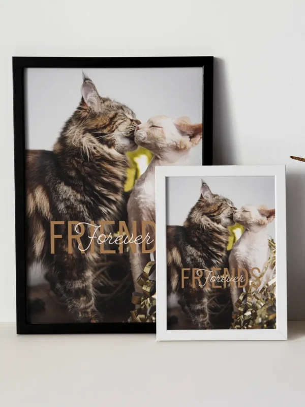 Friends Forever, Maine Coon och Devon Rex - Poster - Ramexempel