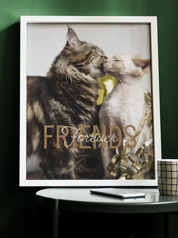 Friends Forever, Maine Coon och Devon Rex - Poster - Ramexempel