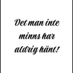 Det man inte minns har aldrig hänt - Poster