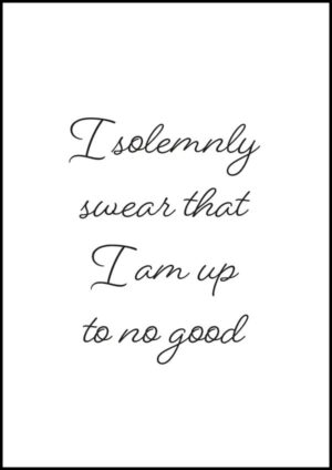 I solemnly swear that I am up to no good - Poster