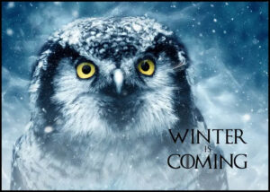 Fototavla: Winter is Coming - Poster