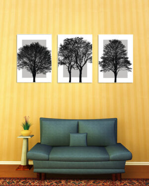 Olika träd - En serie om tre olika posters