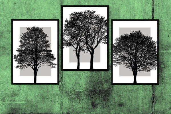 Olika träd - En serie om tre olika posters