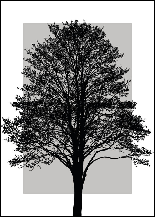 Träd - Poster - svartvit siluett av ett träd