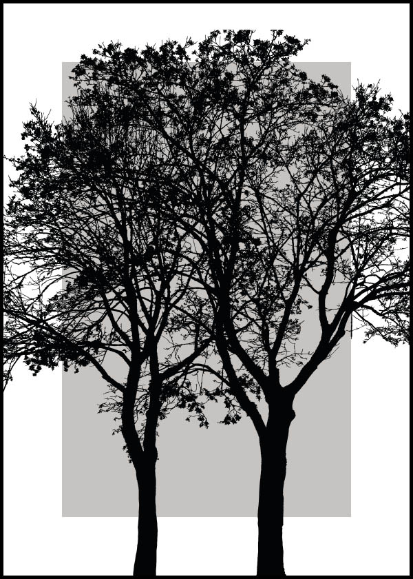 Träd - Poster - svartvit siluett av ett träd