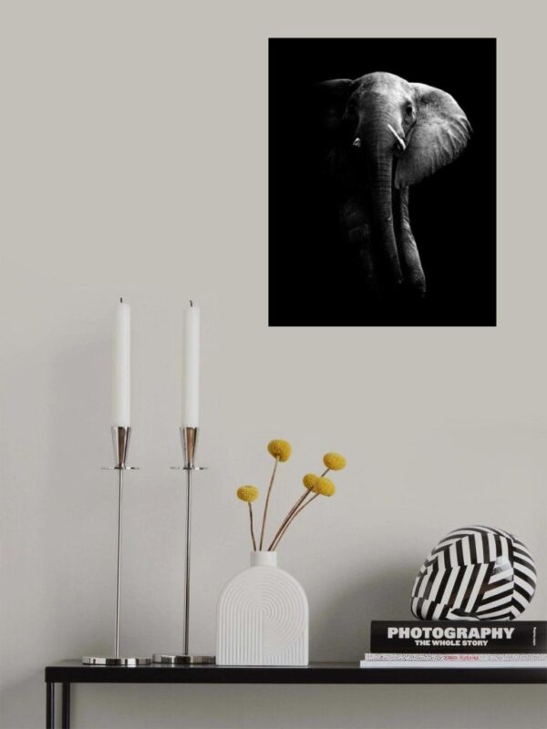 Elephant - Poster - Svartvitt fotografi - Ramexempel