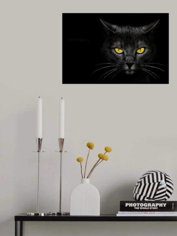 Black Cat - Poster - Ett fotografi av en svart katt med väldigt intensiva gula ögon - Ramexempel