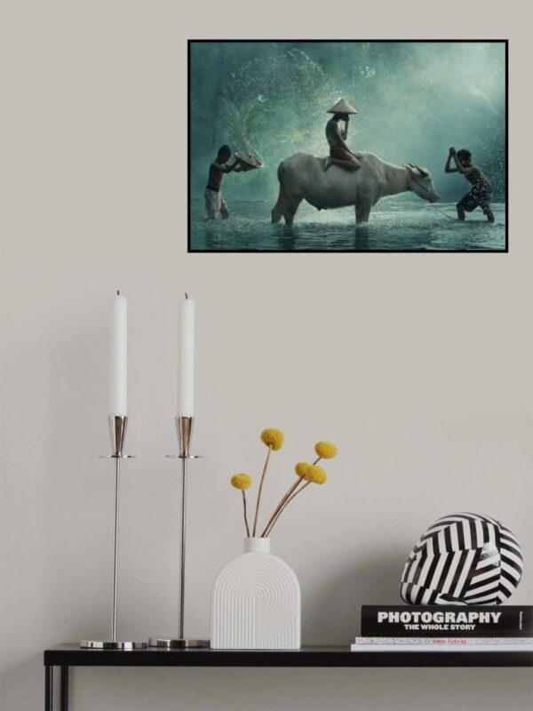 Water Buffalo - Poster - En vacker fotoposter med en vattenbuffel - Ramexempel