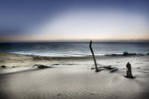 Reach For The Sun - Poster - Ett vackert fotografi i färg där vattnets svala toner står i kontrast till sandens varma nyanser