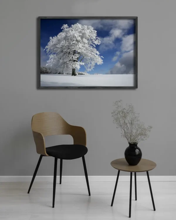 White Windbuche In Black Forest - Poster - Ett vackert fotografi i färg av ett ensamt frostigt träd i ett vackert vinterlandskap - Ramexempel