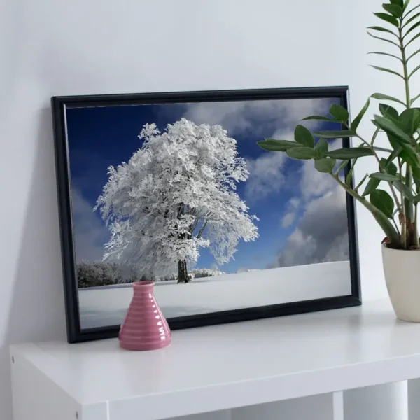 White Windbuche In Black Forest - Poster - Ett vackert fotografi i färg av ett ensamt frostigt träd i ett vackert vinterlandskap - Ramexempel