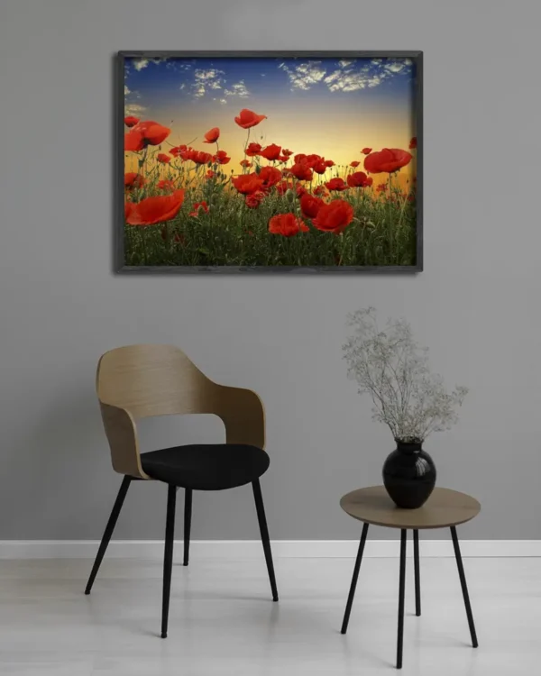 Poppies - Poster - Ett vackert fotografi i färg av ett fält fyllt av röd blommande vallmo - Ramexempel