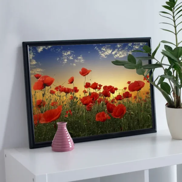 Poppies - Poster - Ett vackert fotografi i färg av ett fält fyllt av röd blommande vallmo - Ramexempel