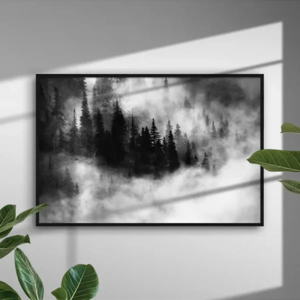Agharta III - Poster - Ett vackert svartvitt fotografi som visar en tät skog höljd i dimma - Ramexempel