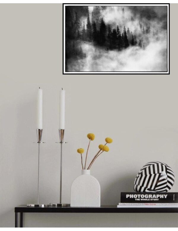Agharta III - Poster - Ett vackert svartvitt fotografi som visar en tät skog höljd i dimma - Ramexempel