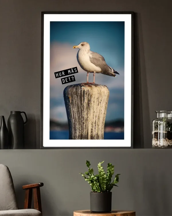 Hur Mås Det - Poster - En rolig fototavla - Ramexempel