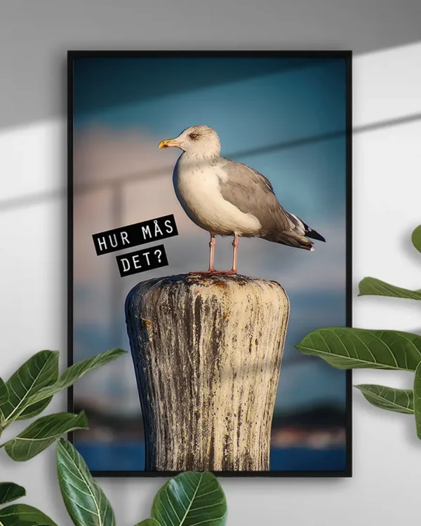 Hur Mås Det - Poster - En rolig fototavla - Ramexempel