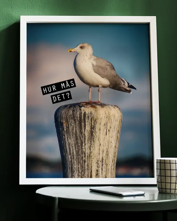 Hur Mås Det - Poster - En rolig fototavla - Ramexempel