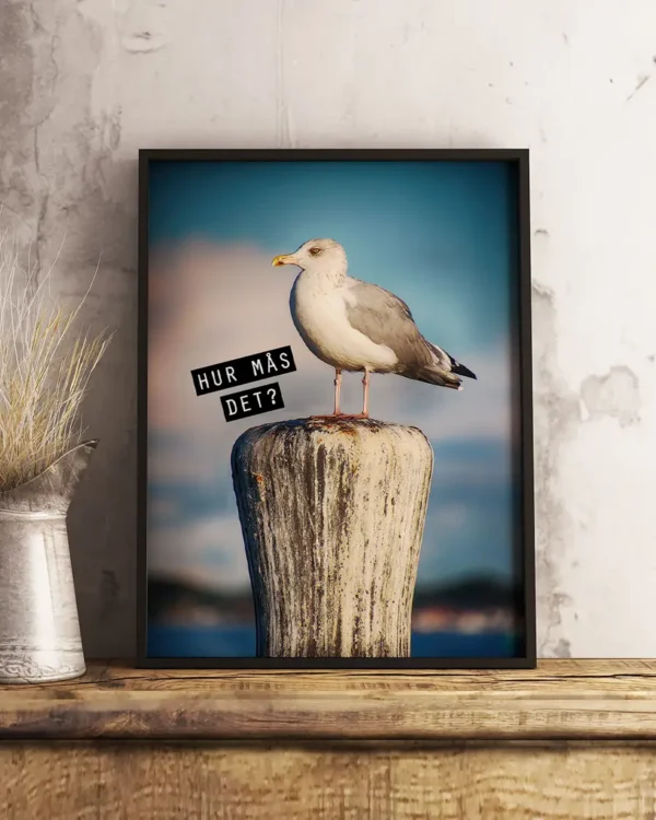 Hur Mås Det - Poster - En rolig fototavla - Ramexempel