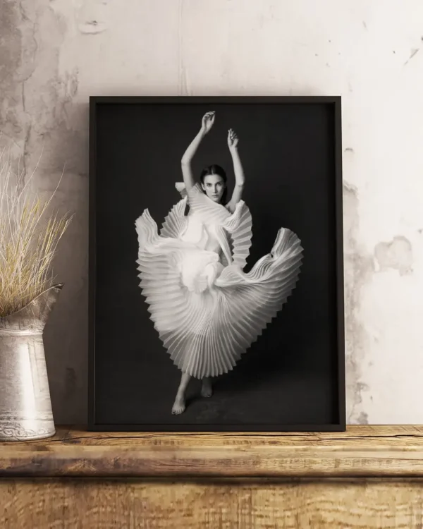 Swan Lake - Poster - Svartvitt fotografi - Ramexempel