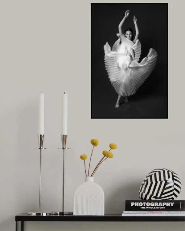 Swan Lake - Poster - Svartvitt fotografi - Ramexempel