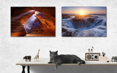 Naturfotografi – Fantastiska Posters med naturmotiv