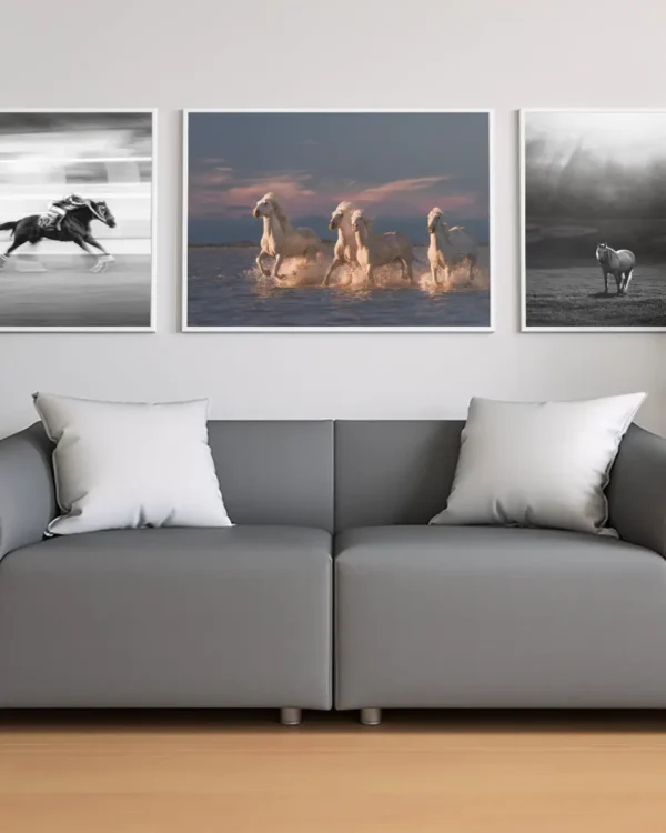 Angels Of Camargue - Poster - Fotografi - Ramexempel