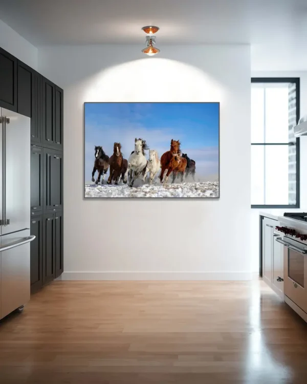 Mongolia Horses - Poster - Fotografi - Ramexempel