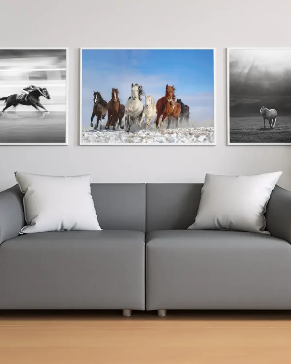 Mongolia Horses - Poster - Fotografi - Ramexempel