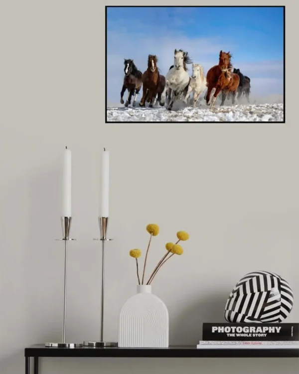 Mongolia Horses - Poster - Fotografi - Ramexempel