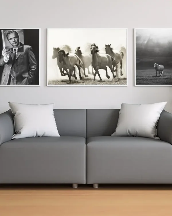 Horses - Hästar - Poster - Svartvitt fotografi - Ramexempel