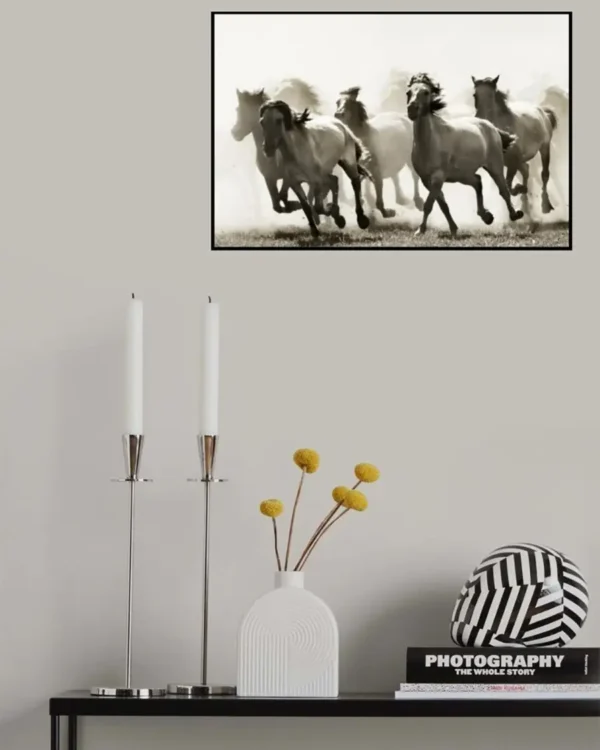 Horses - Hästar - Poster - Svartvitt fotografi - Ramexempel