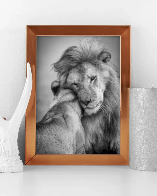 African Love - Poster - Svartvitt fotografi - Ramexempel
