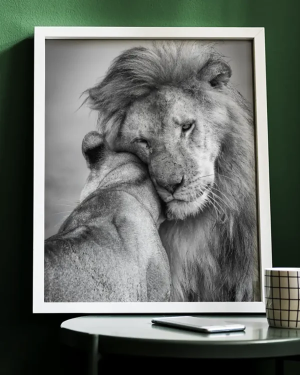 African Love - Poster - Svartvitt fotografi - Ramexempel