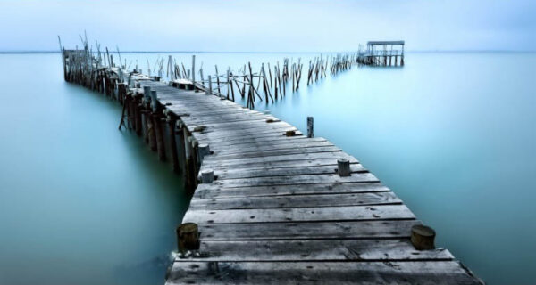 Carrasqueira II - Poster - Fotografi