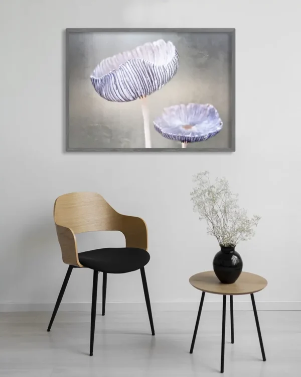 Mushroom - Poster - Fotografi - Ramexempel