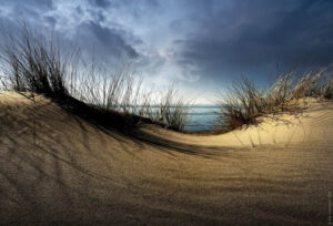 Dunes - Poster - Fotografi