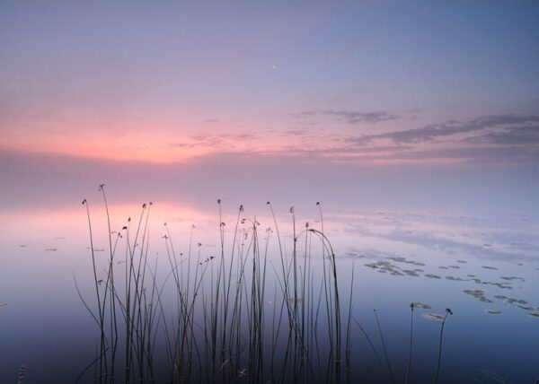 Lake - Poster - Fotografi