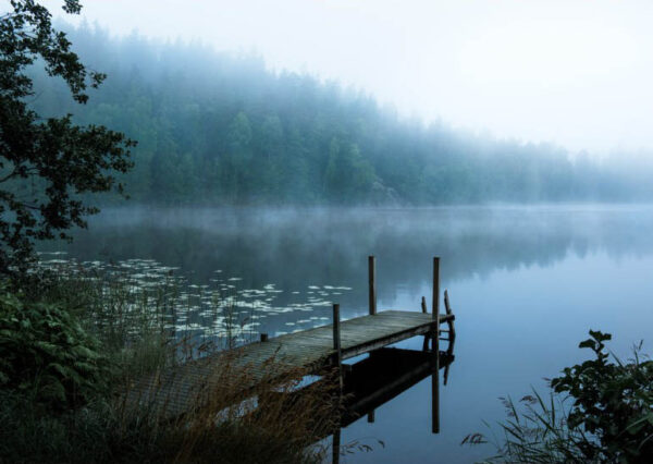 Moody Morning - Poster - Fotografi