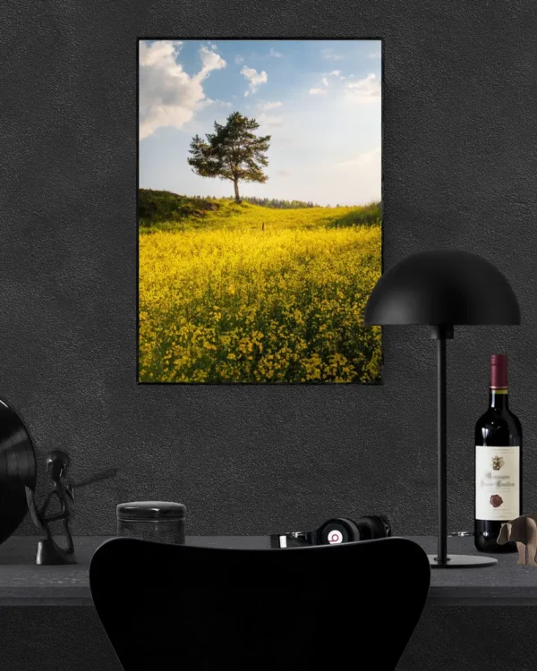 King Of The Hill - Poster - Fotografi - Ramexempel