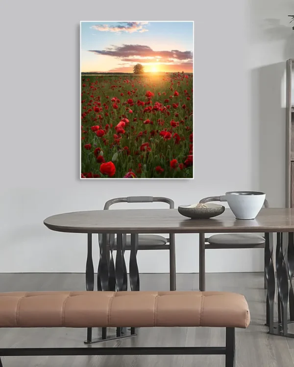 Poppy Fields Of Sweden - Poster - Fotografi - Ramexempel