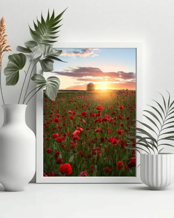 Poppy Fields Of Sweden - Poster - Fotografi - Ramexempel