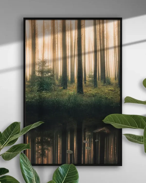 Reflection In The Foggy Forest - Poster - Fotografi - Ramexempel