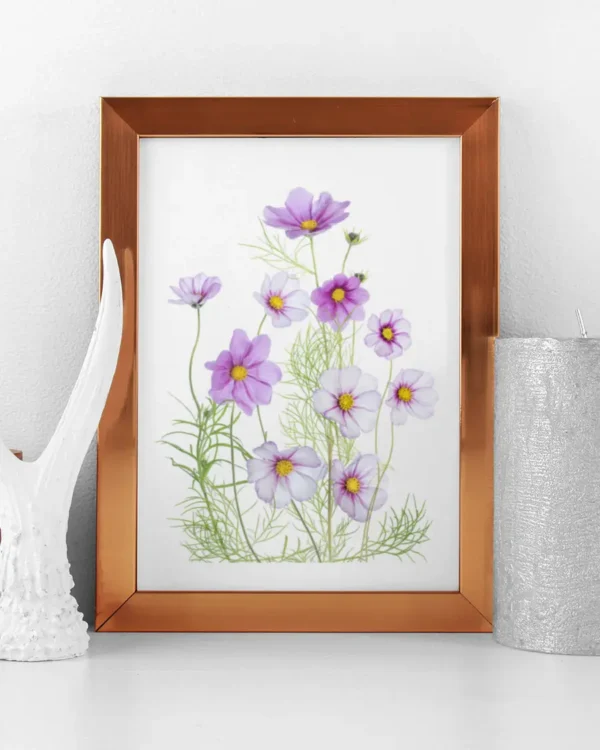 Cosmos Comfort - Rosenskära - Poster - Ramexempel