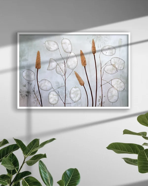 Lunaria - Poster - Ramexempel