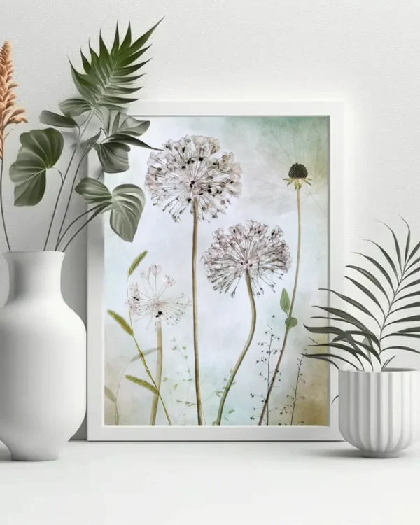 Allium - Prydnadslök - Poster - Fotografi - Ramexempel
