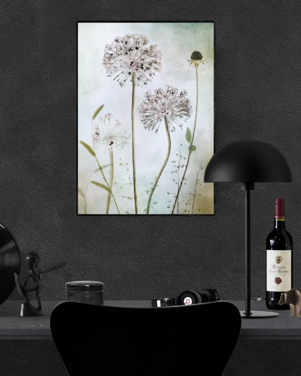 Allium - Prydnadslök - Poster - Fotografi - Ramexempel